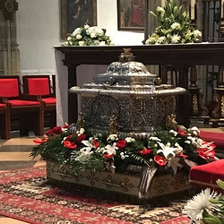 Galería de imágenes