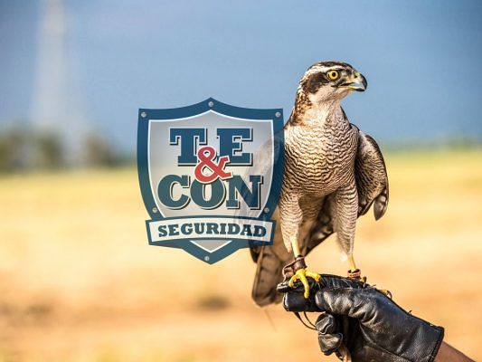 Sin Cuota Seguridad 4