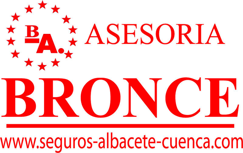 Asesor&iacute;a Bronce ASESORIAS DE EMPRESAS