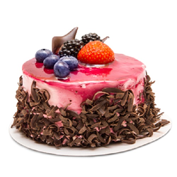 Galería de imágenes