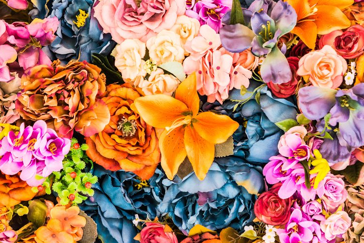 BAOBAB FLOWERS & DECO 3