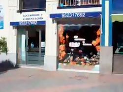 Hospital Veterinario SOS Animal 4 Hospital Veterinario SOS Animal 4