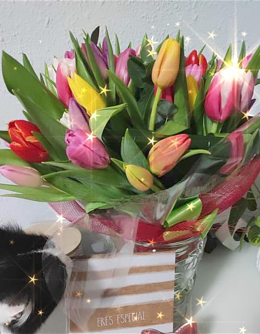 Floristería Eloisse Gandia