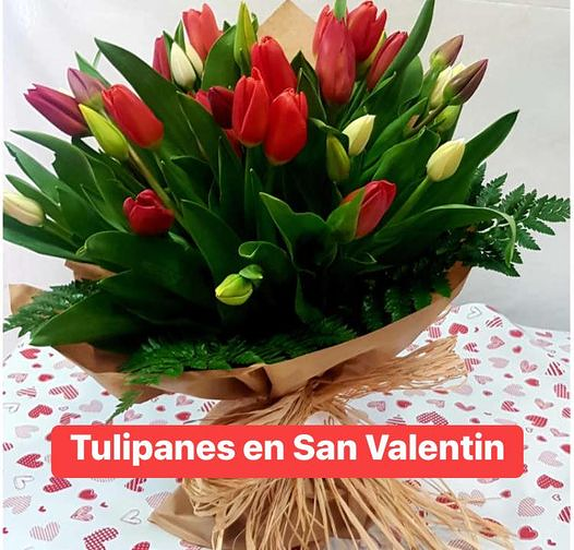 Floristería Eloisse 6