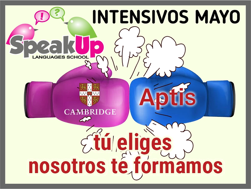 Actify Formaci&oacute;n (SpeakUp Languages School) 4