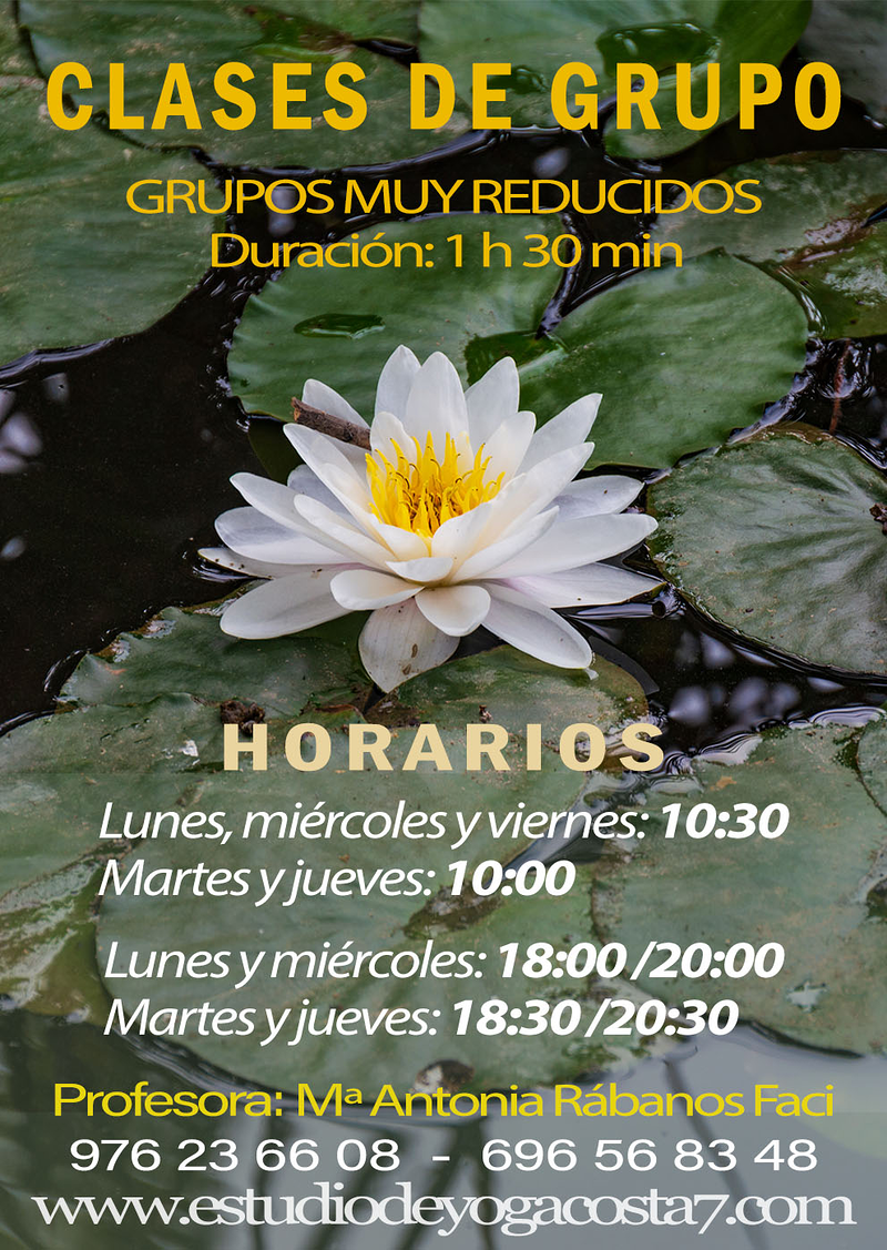 Estudio de Yoga Costa 7 9