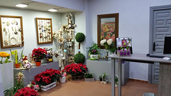 Galería de imágenes