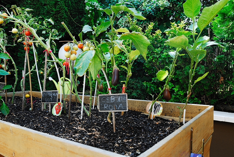 Centro Residencial Sanitas Puerta De Hierro 5