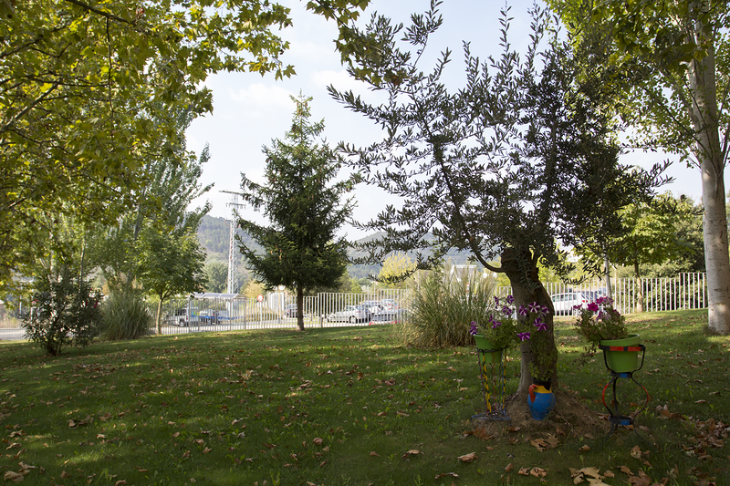 Centro Residencial Sanitas Luz De Estella 15