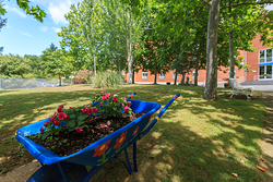 Galería de imágenes