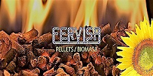 Fervisa Nájera Fervisa Nájera