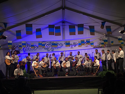 Galería de imágenes