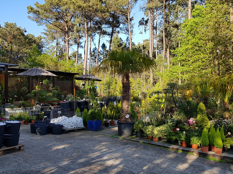 Jardines Y Viveros Crespo Vigo