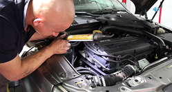 Galería de imágenes