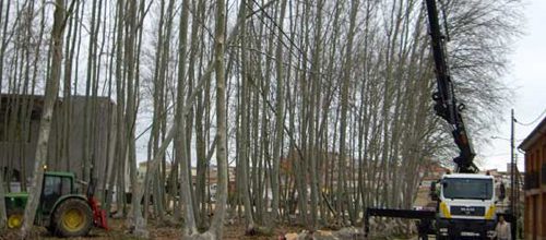 Valent&iacute; Ferran Desbrossaments S.L. 5