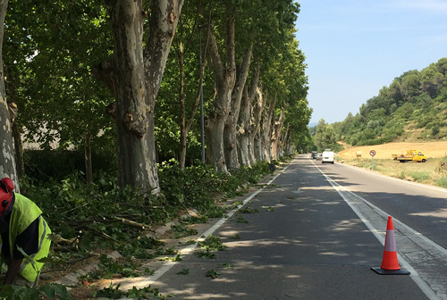 Valent&iacute; Ferran Desbrossaments S.L. 2