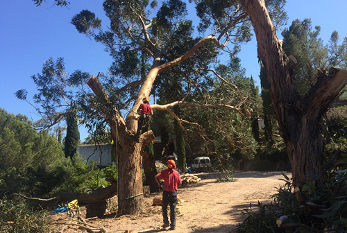 Valent&iacute; Ferran Desbrossaments S.L. 3