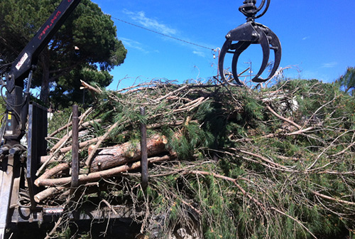 Valent&iacute; Ferran Desbrossaments S.L. SERVICIOS FORESTALES