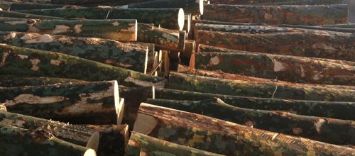 Valent&iacute; Ferran Desbrossaments S.L. 6