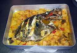 Galería de imágenes