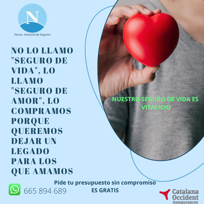 Neves Asesor&iacute;a Seguros 7