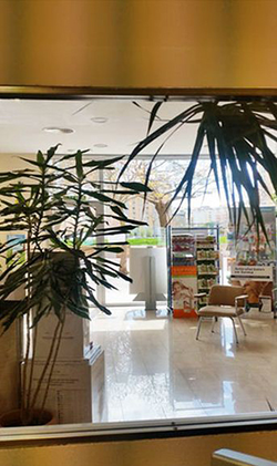 Galería de imágenes