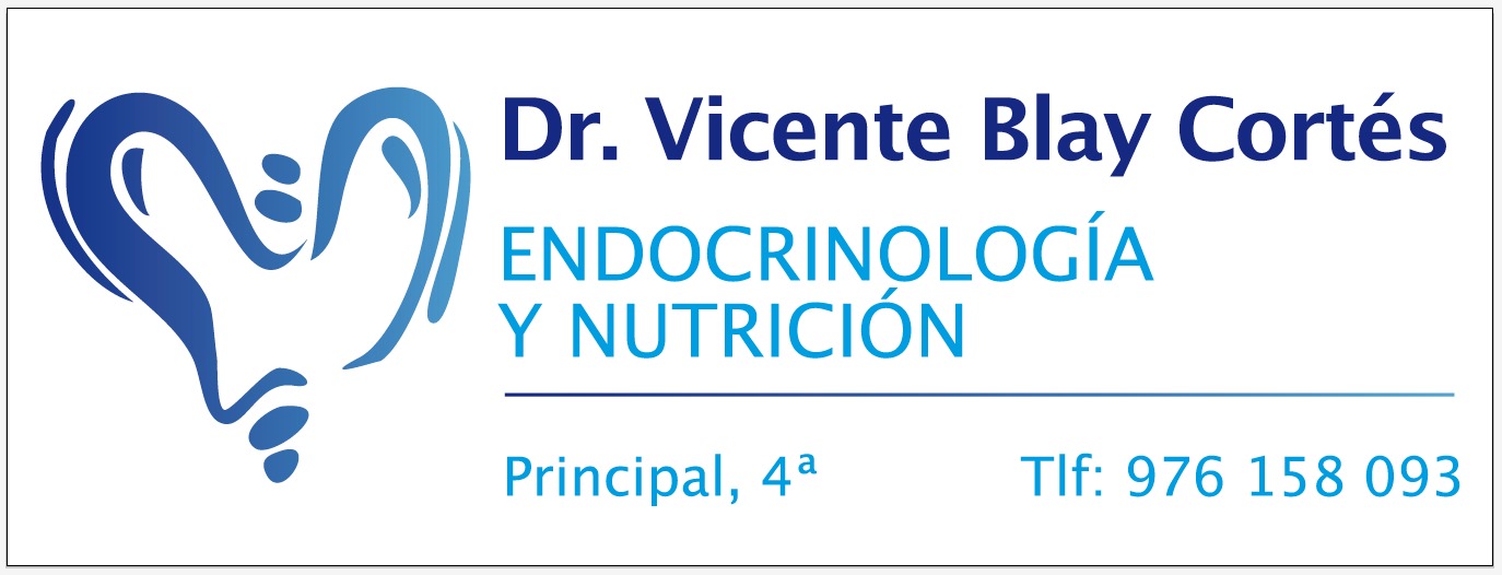 Vicente Blay Cortés