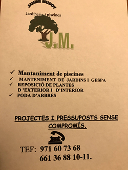 Galería de imágenes