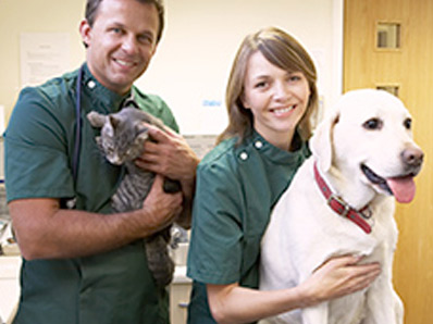 Cl&iacute;nica Veterinaria Salamanca 4