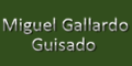 Miguel Gallardo Guisado