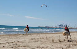 Escuela de Equitación Poni Club Castellón 2 Escuela de Equitación Poni Club Castellón 2