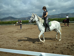 Escuela de Equitación Poni Club Castellón Castelló de la Plana Escuela de Equitación Poni Club Castellón Castelló de la Plana