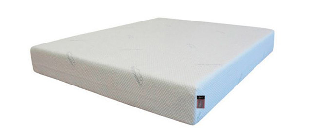 Expocolch&oacute;n 8