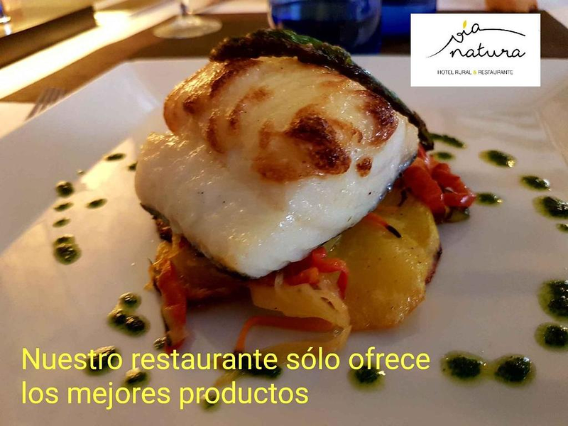 V&iacute;a Natura Hotel Rural & Restaurante TURISMO RURAL: ALOJAMIENTO RURAL