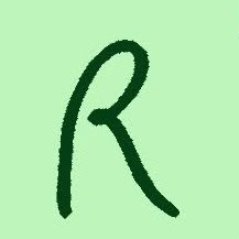 Ricardo Moraza Biorresonancia SCIO - Naturópata