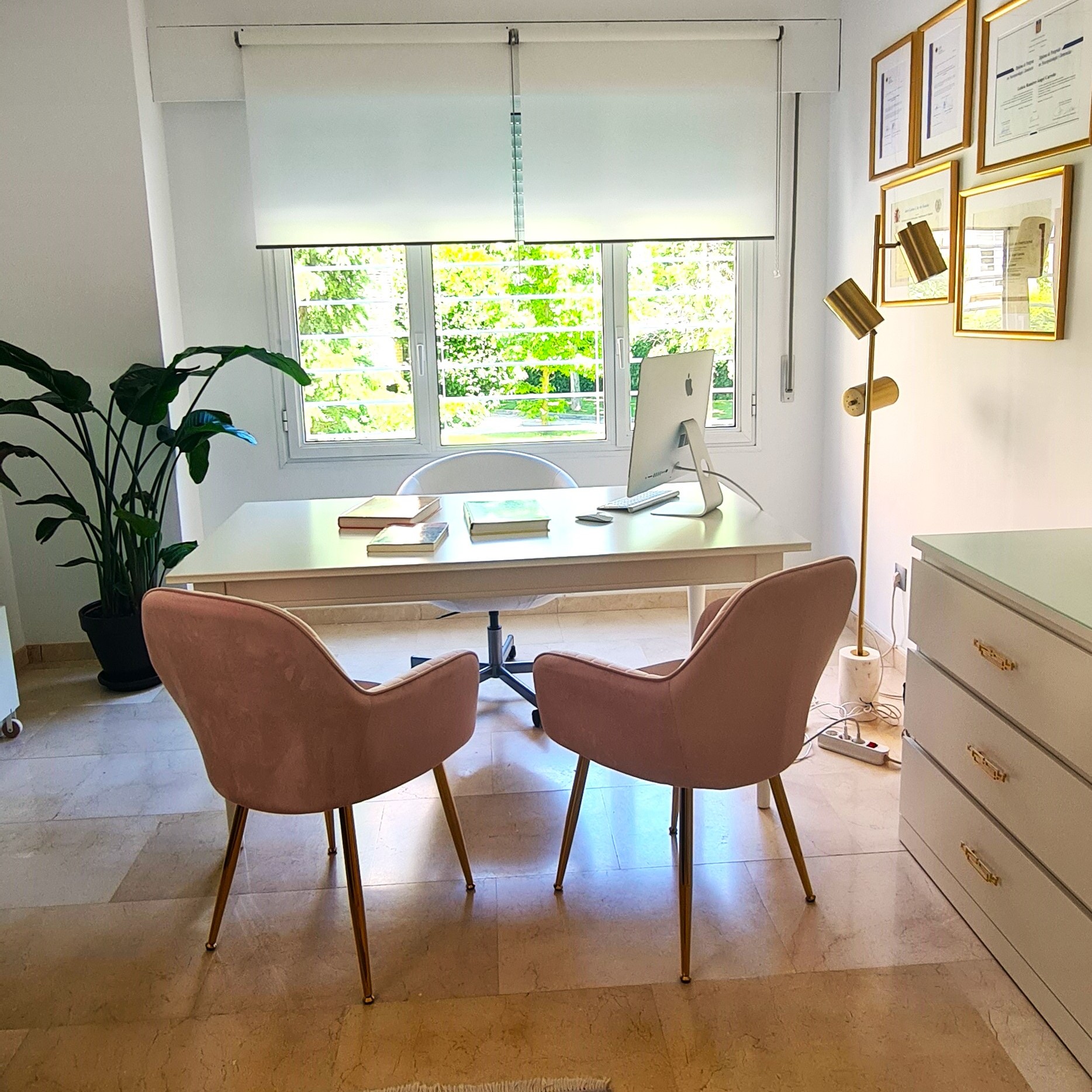 Galería de imágenes