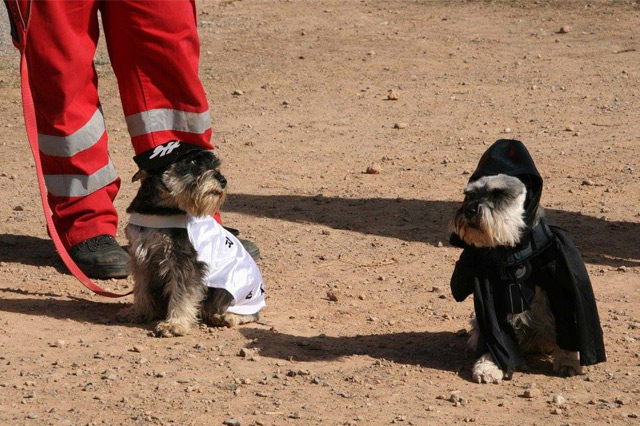Escola Canina Els Tres Pins ANIMALES DE COMPAÑIA: CRIA Y RESIDENCIAS Escola Canina Els Tres Pins ANIMALES DE COMPAÑIA: CRIA Y RESIDENCIAS