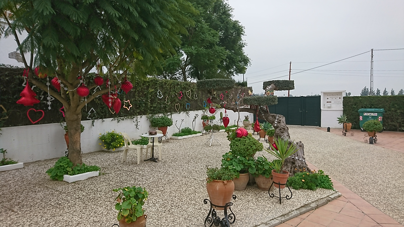 Centro De Mayores Esperanza Macarena 9