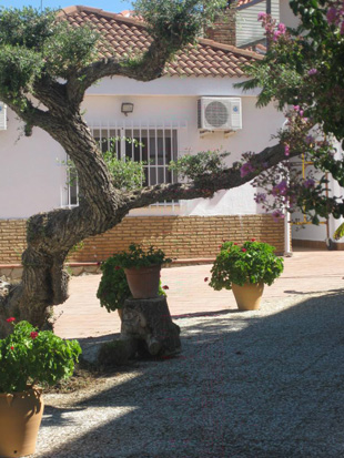 Centro De Mayores Esperanza Macarena 5