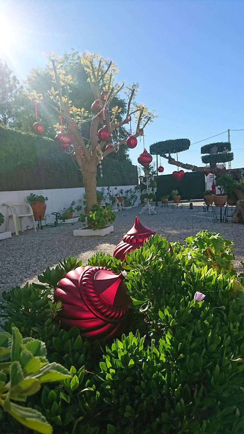 Centro De Mayores Esperanza Macarena 11