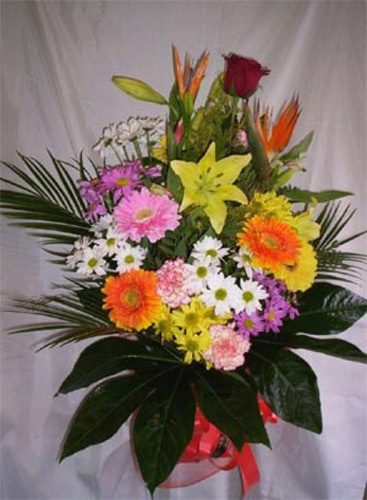 Florister&iacute;a Macher&iacute; Jerez de la Frontera