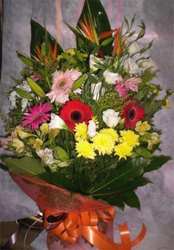 Florister&iacute;a Macher&iacute; FLORISTERIAS