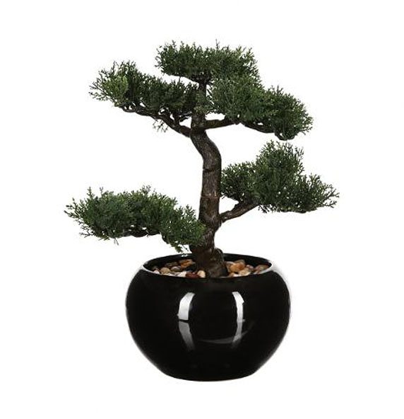 Brico Centro Extreme&ntilde;o 2