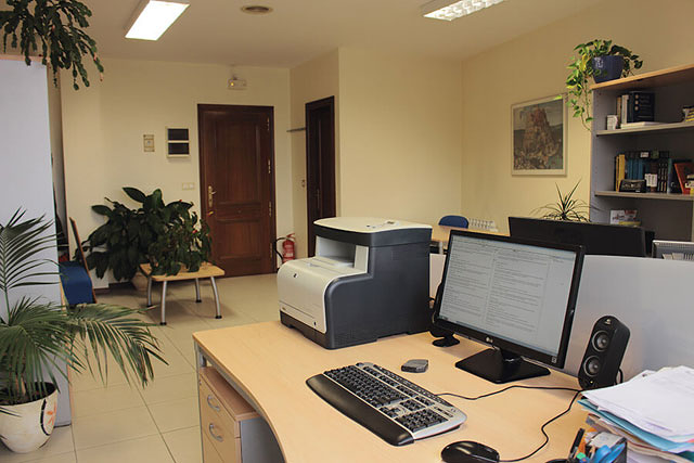 Rosetta Traducci&oacute;n 7