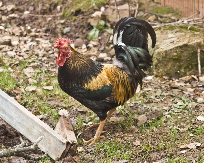 Camping Rural de Teruel Casa Fausto 11