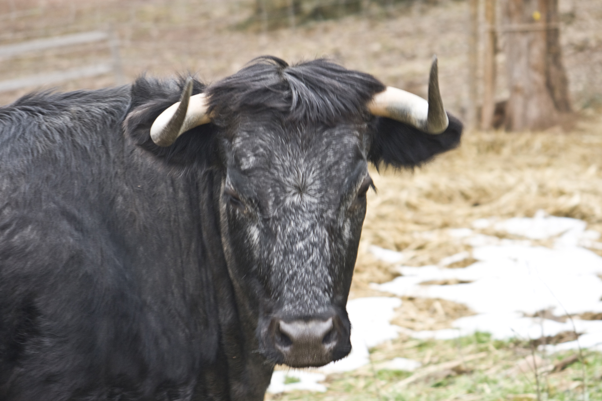 Camping Rural de Teruel Casa Fausto 12