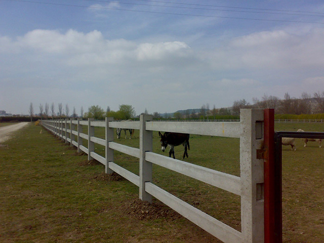 Prefabricados San Vicente S.L. 3