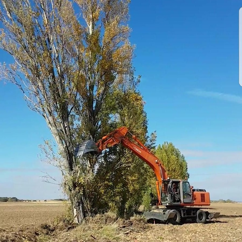 Excavaciones José María González 6