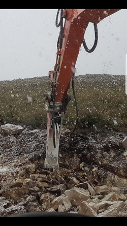 Galería de imágenes