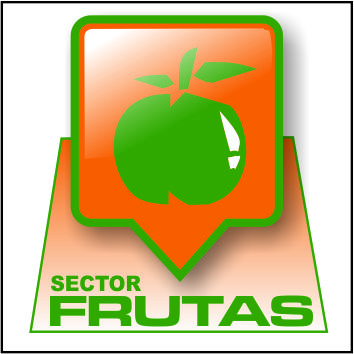 Sistema Técnico De Gestión Integral S.L. 8